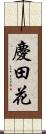 慶田花 Scroll