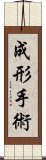 成形手術 Scroll