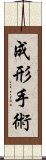 成形手術 Scroll