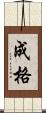 成格 Scroll