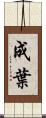 成葉 Scroll