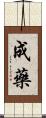 成藥 Scroll