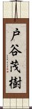 戸谷茂樹 Scroll