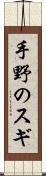 手野のスギ Scroll