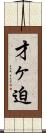 才ヶ迫 Scroll
