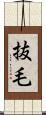 抜毛 Scroll
