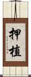 押植 Scroll