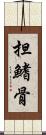 担鰭骨 Scroll