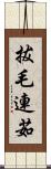 拔毛連茹 Scroll