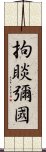 拘睒彌國 Scroll