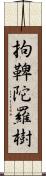 拘鞞陀羅樹 Scroll