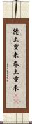 捲土重来 Scroll