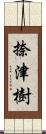 捺津樹 Scroll