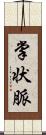 掌状脈 Scroll