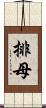 排母 Scroll