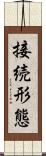 接続形態 Scroll