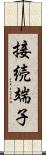 接続端子 Scroll