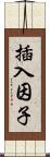 插入因子 Scroll