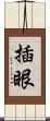 插眼 Scroll