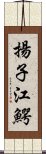 揚子江鰐 Scroll