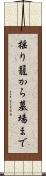 揺り籠から墓場まで Scroll