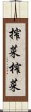 搾菜 Scroll