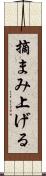 摘まみ上げる Scroll