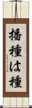 播種 Scroll