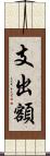 支出額 Scroll