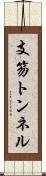 支笏トンネル Scroll