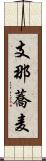 支那蕎麦 Scroll