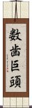 数歯巨頭 Scroll