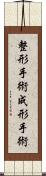 整形手術 Scroll