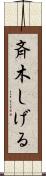 斉木しげる Scroll