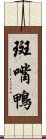 斑嘴鴨 Scroll