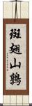 斑翅山鶉 Scroll