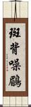 斑背噪鶥 Scroll