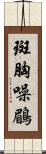 斑胸噪鶥 Scroll