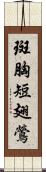 斑胸短翅鶯 Scroll