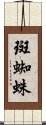 斑蜘蛛 Scroll