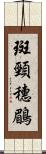 斑頸穗鶥 Scroll