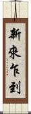 新來乍到 Scroll