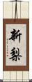 新梨 Scroll