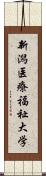 新潟医療福祉大学 Scroll