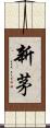 新茅 Scroll