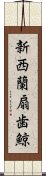 新西蘭扇歯鯨 Scroll