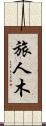 旅人木 Scroll