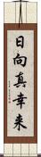 日向真幸来 Scroll