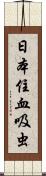 日本住血吸虫 Scroll