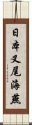 日本叉尾海燕 Scroll
